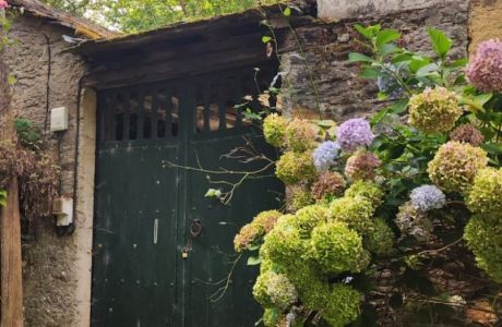 Ruta Bosque dos Grobos, Souto de Agüeira, Cormes y Morcellle. Ruta Bosque dos Grobos, Souto de Agüeira, Cormes y Morcellle.