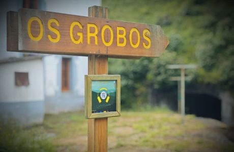 Destino los Grobos
