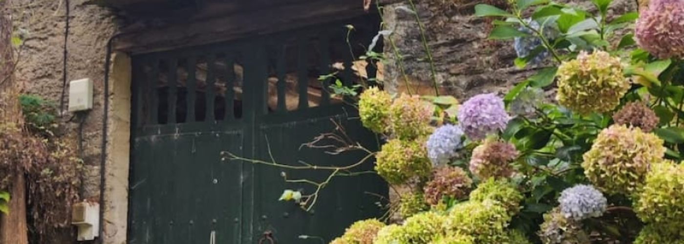 Ruta Bosque dos Grobos, Souto de Agüeira, Cormes y Morcellle. Ruta Bosque dos Grobos, Souto de Agüeira, Cormes y Morcellle.