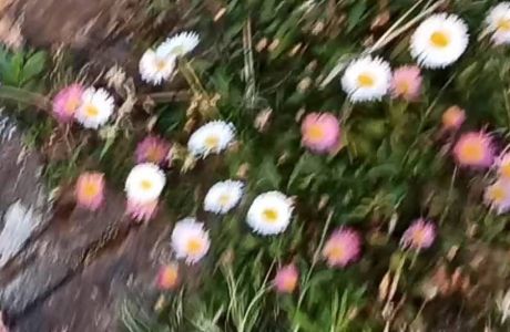 Beneficios del  Nordic Walking Beneficios del  Nordic Walking