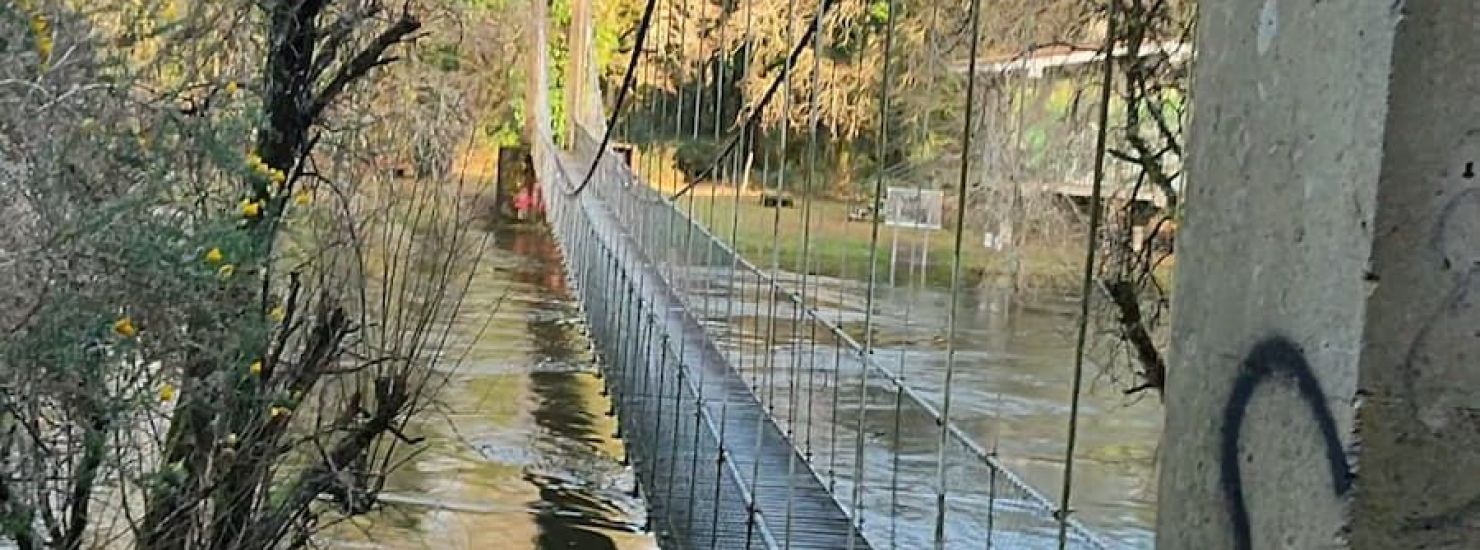 Isla de Seivane Isla de Seivane