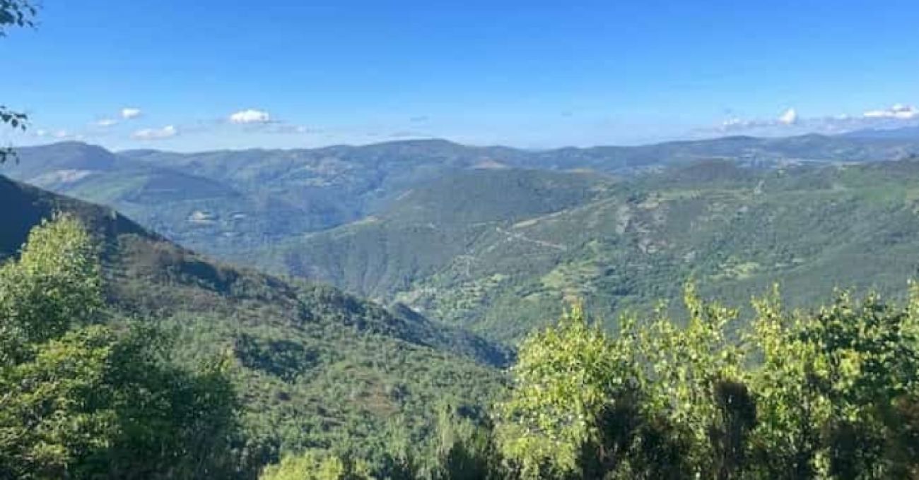 Majestuosa Devesa da Rogueira Majestuosa Devesa da Rogueira