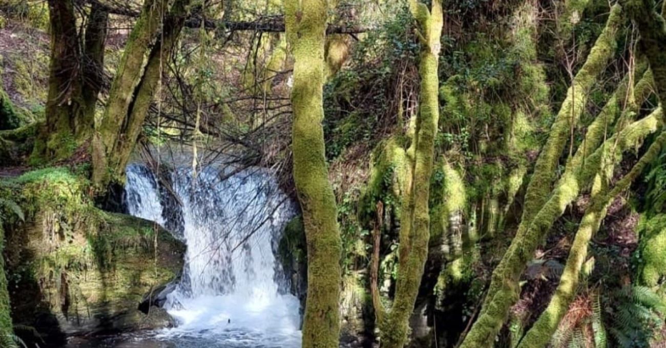 Un Paseo Primaveral en Becerreá desde Quintá de Cancelada Un Paseo Primaveral en Becerreá desde Quintá de Cancelada