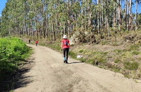 Miradoiro de Paraños Miradoiro de Paraños