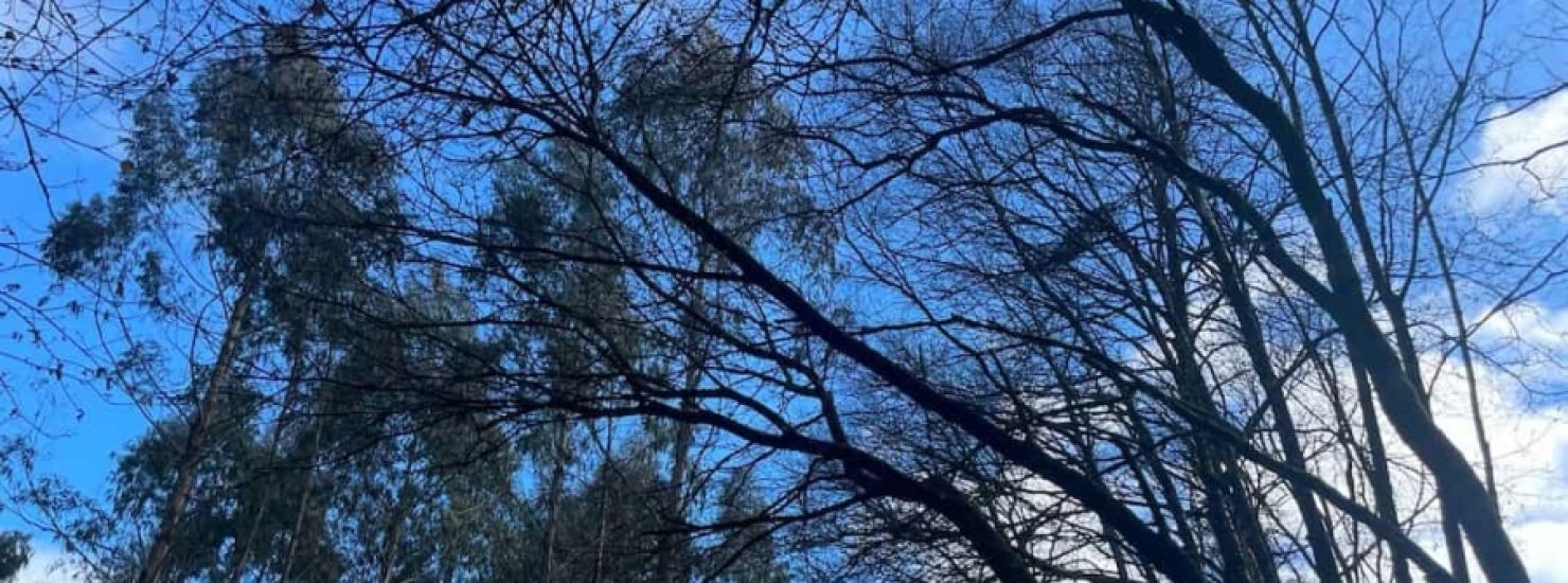 Reserva Biosfera, río Azumara Reserva Biosfera, río Azumara