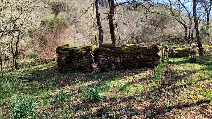 ouriceiros donsal rectangular