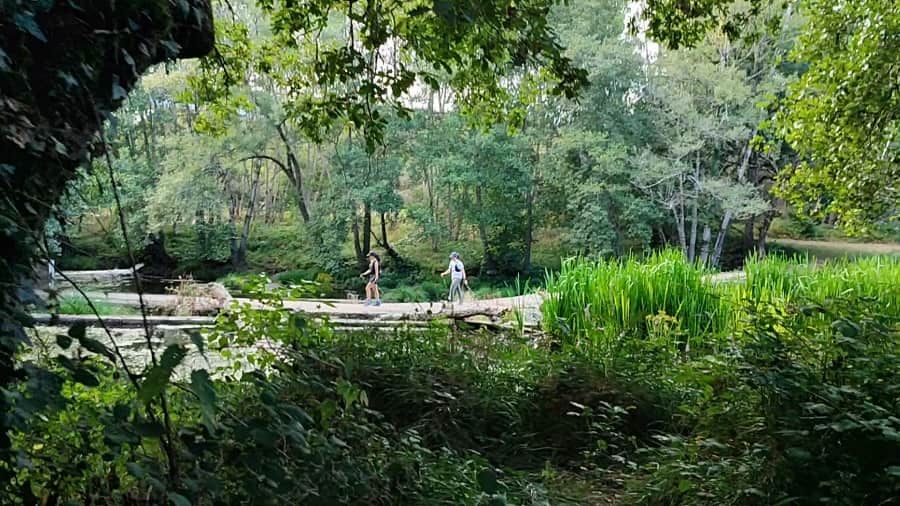 Molino de Paz en Moscán