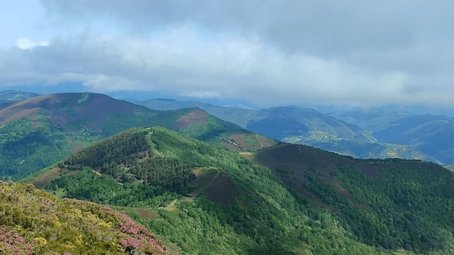 V Clinic de Técnica específica ALFA 247 "Desniveles + y -"
