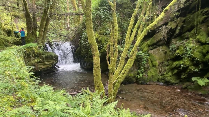 Quintá de Cancelada Becerreá