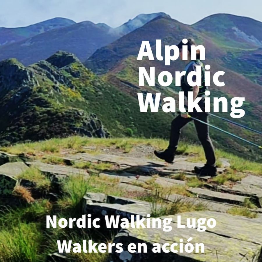 Alpin Nordic Walking