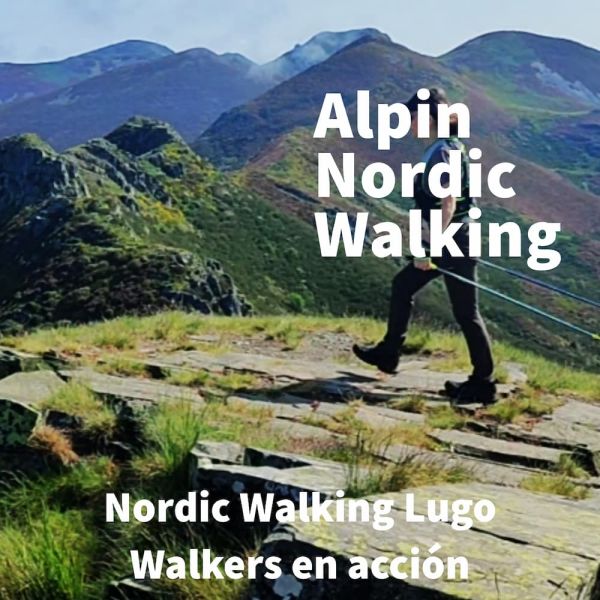 Alpin Nordic Walking