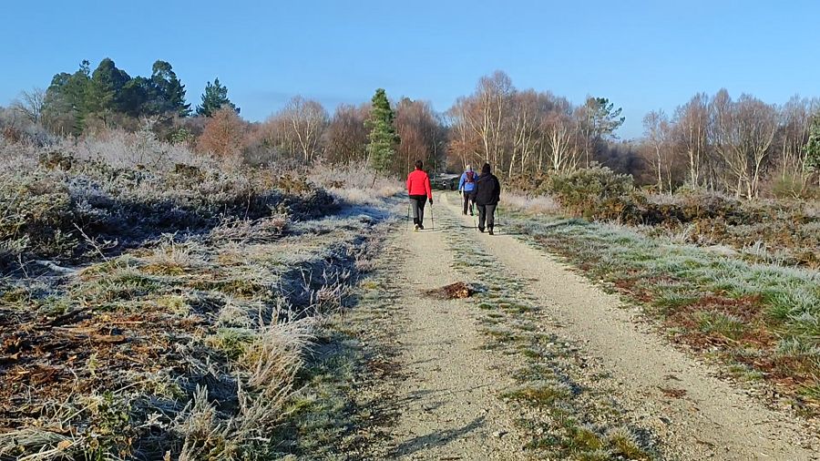 Camino Real en Invierno